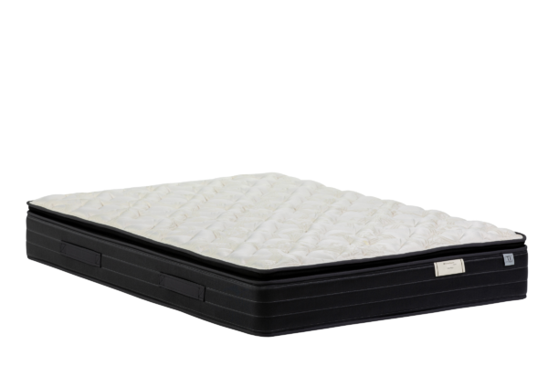 sealy posturepremier mattress